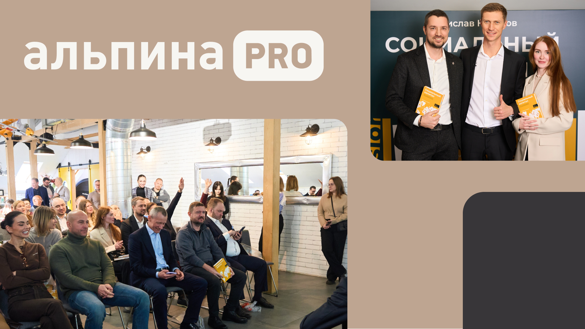 Альпина Pro